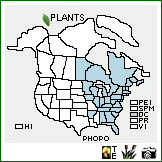 Distribution of Physocarpus opulifolius (L.) Maxim. var. opulifolius. . Image Available. 