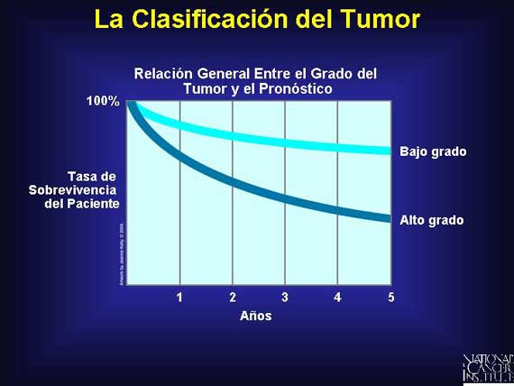 La Clasificación del Tumor