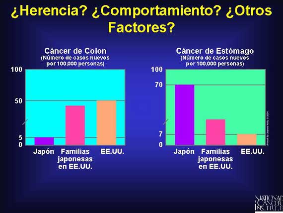 ¿Herencia? ¿Comportamiento? ¿Otros Factores?