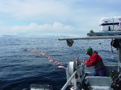 photo of fishing operations