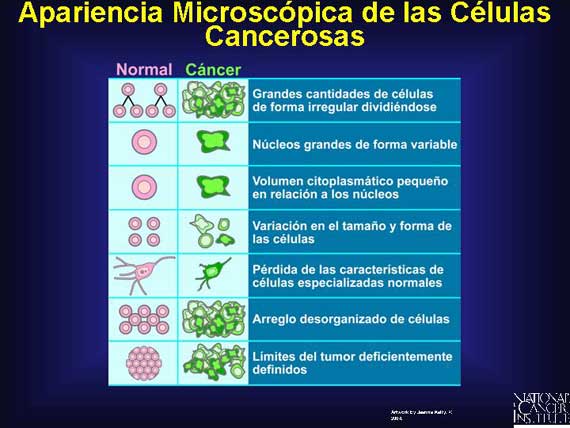 Apariencia Microscópica de las Células Cancerosas