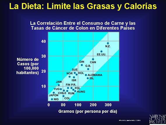 La Dieta: Limite las Grasas y Calorías