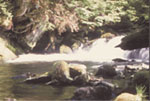 stream with small waterfall