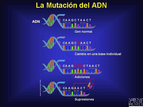 La Mutación del ADN
