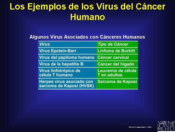 Los Ejemplos de los Virus del Cáncer Humano