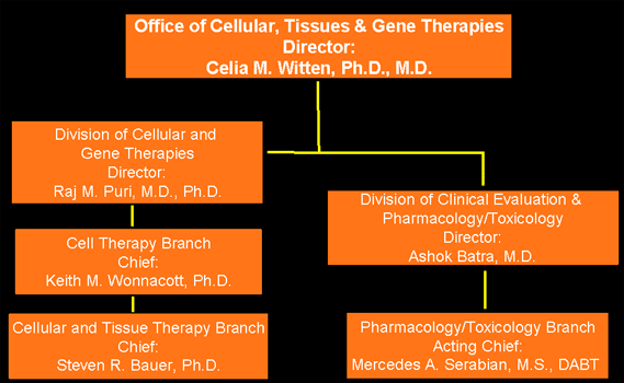 Organization chart:  CBER Unit Responsible for Review of Embryonic Stem Cell-Based Products