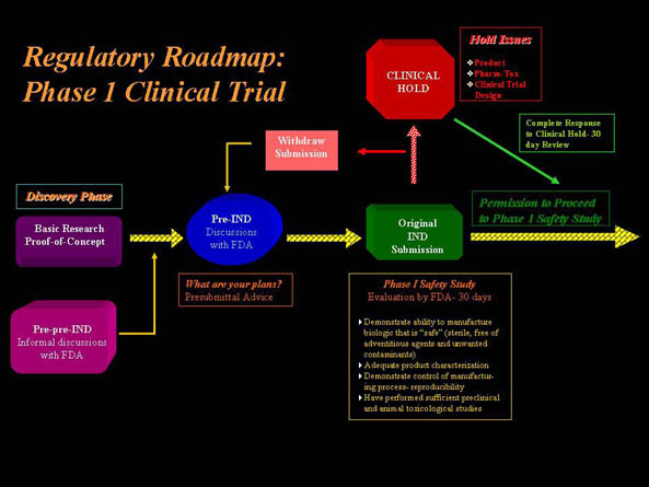 regulatory roadmap for Phase 1 clincal trial including discovery phase, pre IND discussions, IND submission and permission to proceed.
