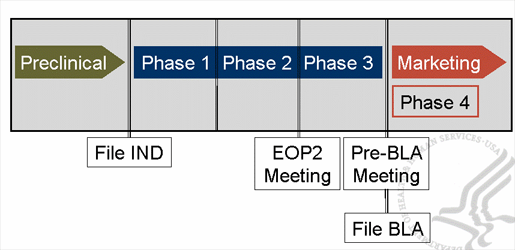 Regulatory timeline: preclinical, phase 1, phase 2, phase 3 phase 4 marketing