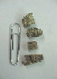 Photograph shows some typical pieces of vermiculite insulation that are about the size of a pencil eraser.