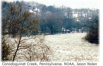 Picture of Conodoguinet Creek, Pennsylvania showing springtime iceflows in the river. 