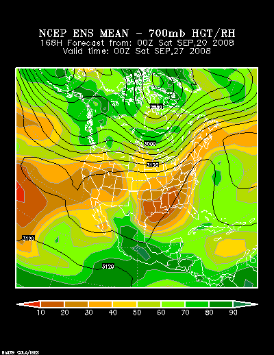 NCEP Ensemble t = 168 hour forecast product