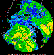 Radar loop for Tropical Storm Bill