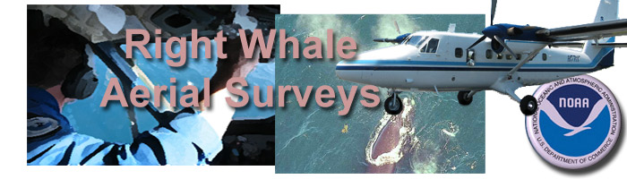 Right Whale Aerial Surveys
