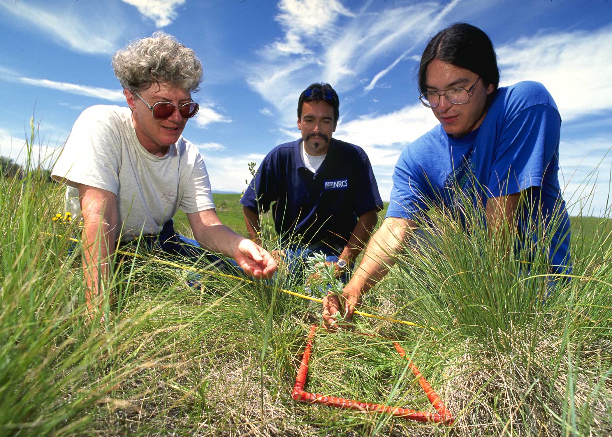 NRCS assistance.