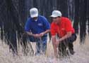 New Mexico fire rehab inspection.  NRCS image.