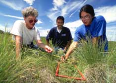 NRCS staff and intern check growth of native grasses.  NRCS image by Bob Nichols.