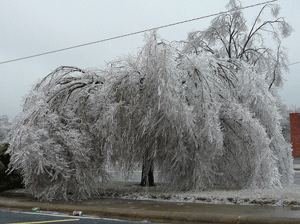 Ice storm photograph near Muskokee, Oklahoma on January 14, 2007