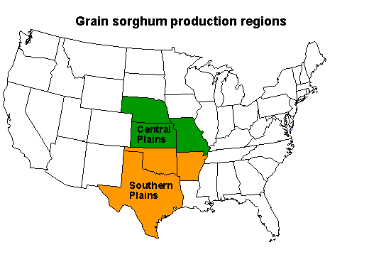 Grain sorghum production regions