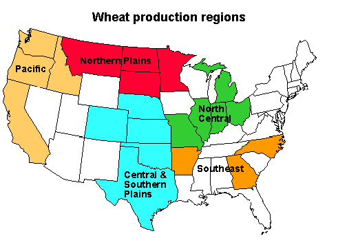 Wheat production regions
