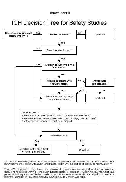 ICH Decision Tree