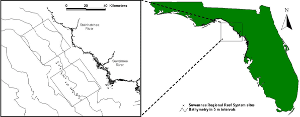 study area, Gulf of Mexico