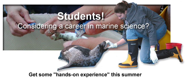 Students. Considering a career in marine science? Get some hands on experience this summer