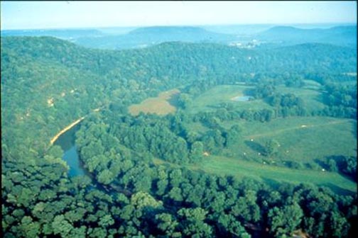 The Kentucky CREP's program area borders a 100-mile section of the Upper Green River Watershed, extending from the Green River Dam downstream into Mammoth Cave National Park, encompassing all or part of eight counties. 