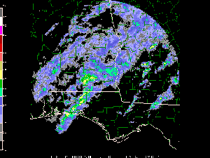 Click Here for a radar animation of severe tornadic thunderstorms over southeast Alabama on November 5, 2002