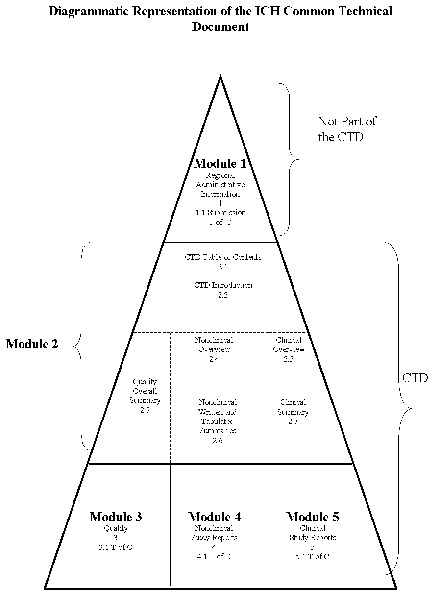 Diagrammatic Representation of the ICH Common Technical Document