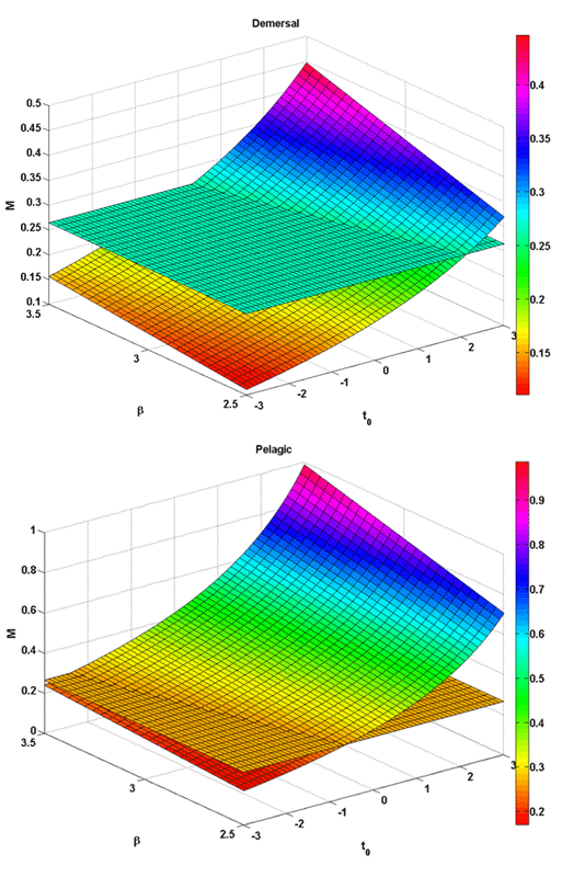 ZM graph