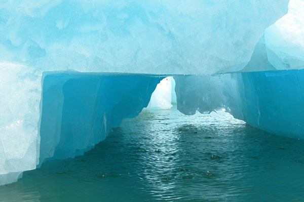 glaciers and iceberg