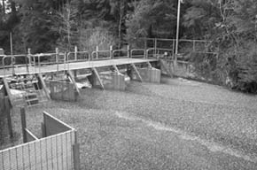 Photo of frozen upstream weir pool