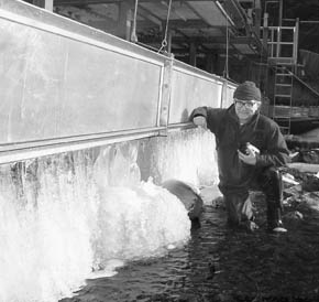 Photo of ice accumulation on the fish counting weir