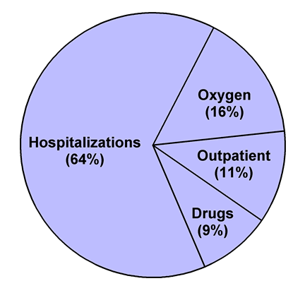 Figure 1-Allocation of expenditures for direct costs of COPD care, Hospitalization 64%,  Oxygen 16%, Outpatient 11%, Drug 9%
