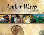 Amber Waves cover