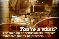 The training of perfusionists involves extensive hands-on practice.