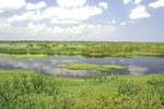 Florida's Broadmoor marsh