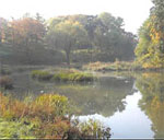 Illinois wetlands