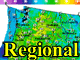 icon for regional view grids