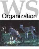 Wildlife Services - Organization