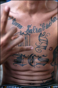 Member of MS-13