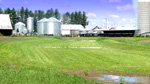 An EQIP-funded vegetated filter strip treats contaminated runoff from a feedlot in Minnesota