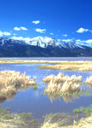 wetlands in western U.S.