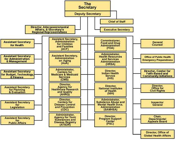 Organization Chart