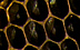 Empty honeycomb cells: Link to CCD Q&A