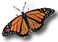 Monarch butterfly: Link to web site