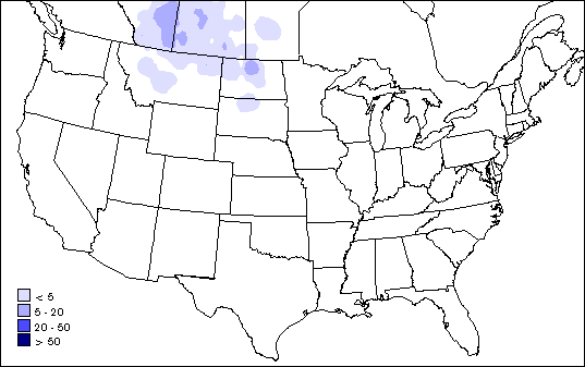 GIF - Sprague's Pipit range map.