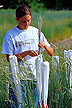 Utah State University student pollinates Snake River wheatgrass