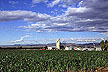 Corn production in Colorado