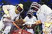 Africanized honey bees